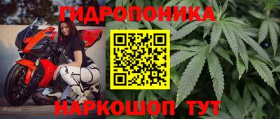 a pvp Аша