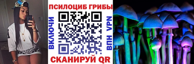 Галлюциногенные грибы Cubensis  Борисоглебск 